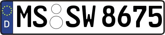 MS-SW8675