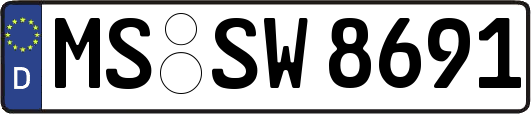 MS-SW8691