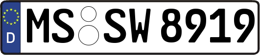 MS-SW8919