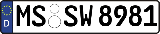 MS-SW8981