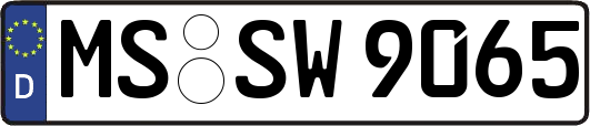 MS-SW9065