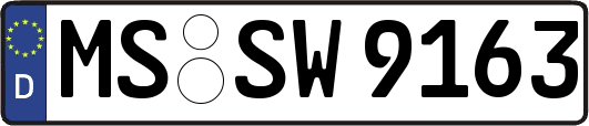 MS-SW9163