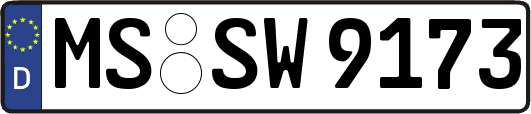 MS-SW9173