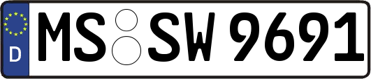 MS-SW9691