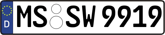MS-SW9919