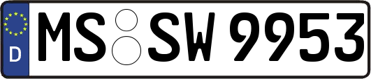 MS-SW9953