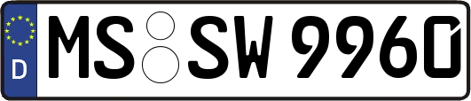 MS-SW9960