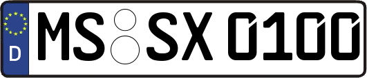 MS-SX0100
