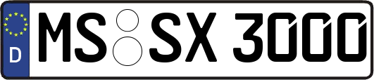 MS-SX3000
