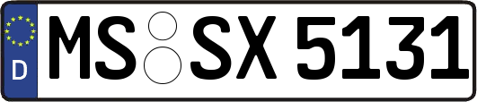 MS-SX5131