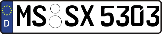 MS-SX5303