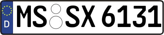 MS-SX6131