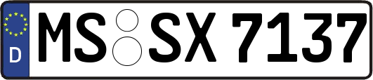MS-SX7137