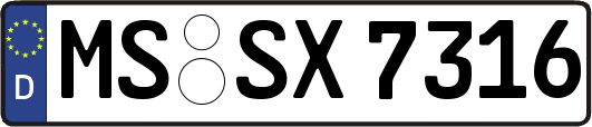 MS-SX7316