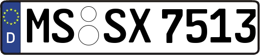 MS-SX7513