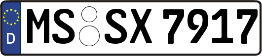 MS-SX7917
