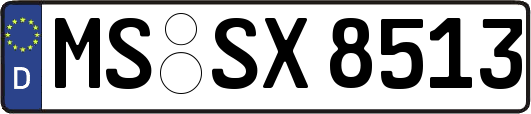 MS-SX8513