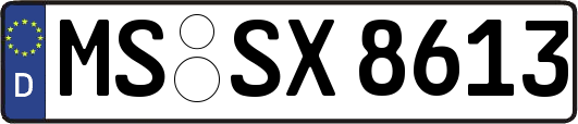 MS-SX8613