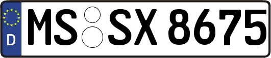 MS-SX8675