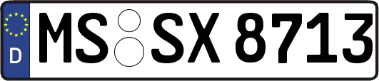 MS-SX8713