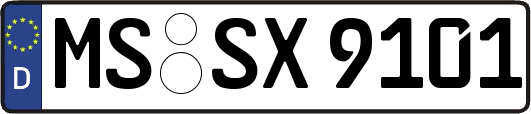 MS-SX9101