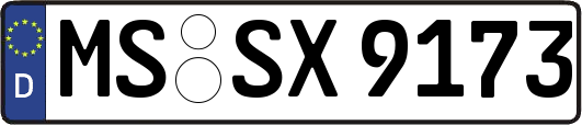 MS-SX9173