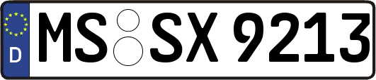 MS-SX9213