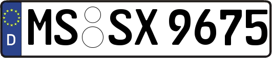 MS-SX9675