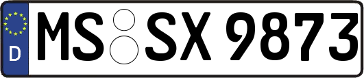 MS-SX9873