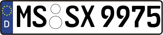 MS-SX9975