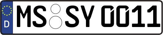 MS-SY0011
