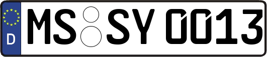 MS-SY0013