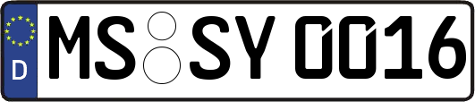MS-SY0016