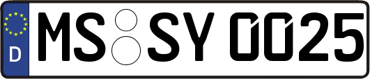 MS-SY0025