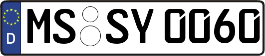 MS-SY0060