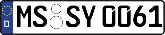 MS-SY0061