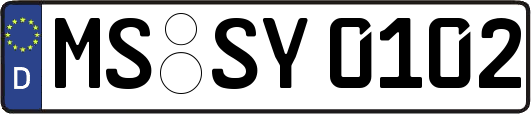 MS-SY0102