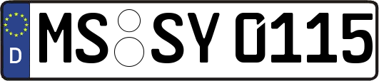 MS-SY0115