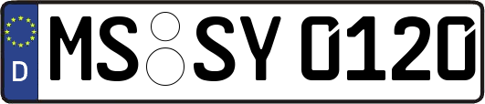 MS-SY0120