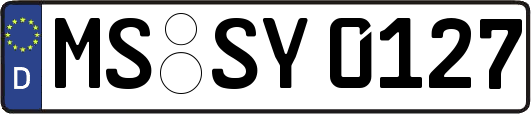 MS-SY0127