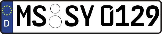 MS-SY0129