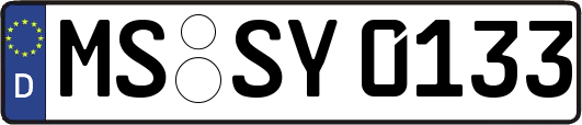 MS-SY0133