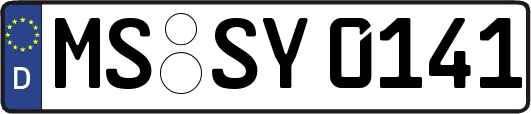 MS-SY0141