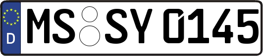 MS-SY0145