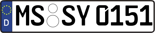 MS-SY0151