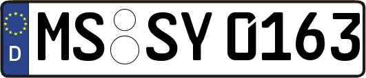MS-SY0163