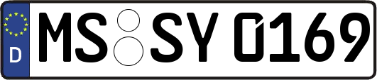 MS-SY0169