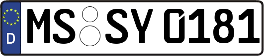 MS-SY0181