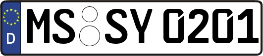 MS-SY0201