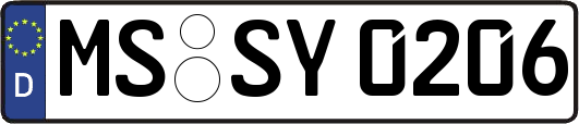 MS-SY0206